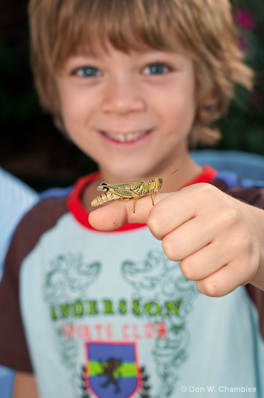 A Boy & His Grasshopper