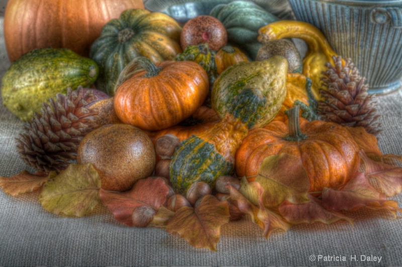 Pumpkin Still LIfe