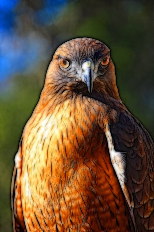 Fractalius Feathered Friend 