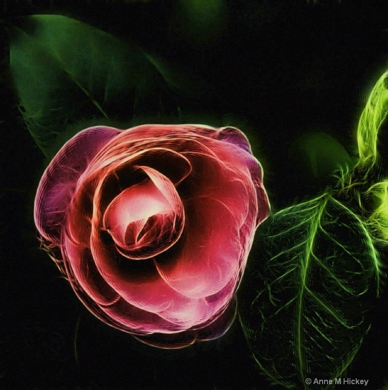 Fractalius Camellia