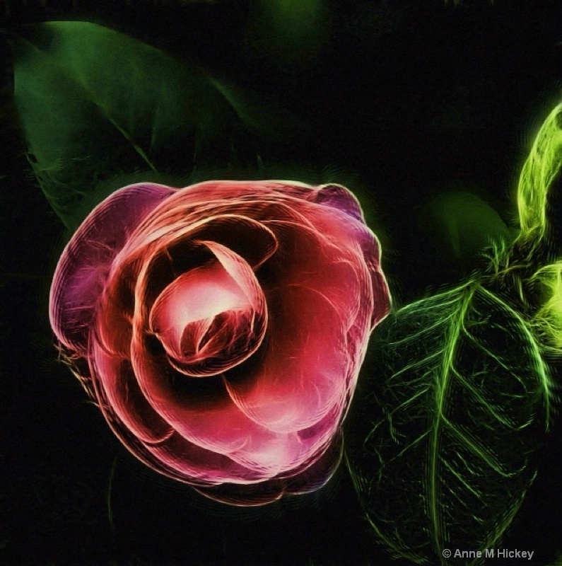 Fractalius Camellia