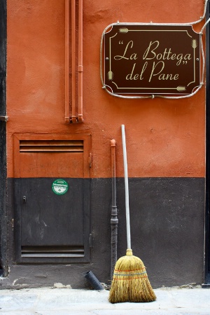 Broom in Albenga