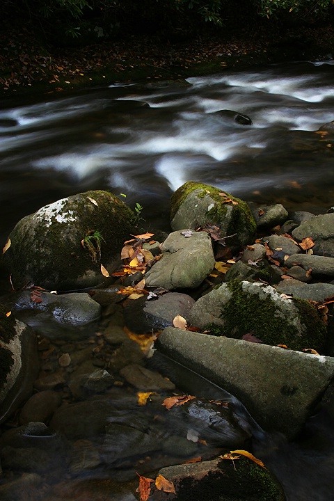 Autumn Rocks