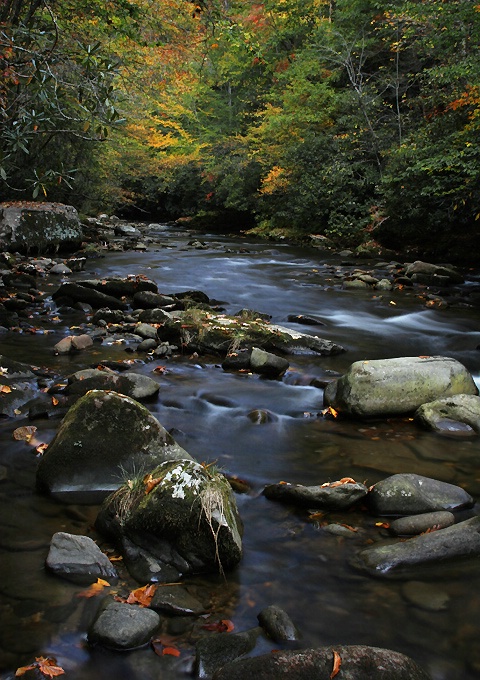 Deep Creek Autumn