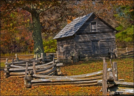 Puckett Cabin and Fence