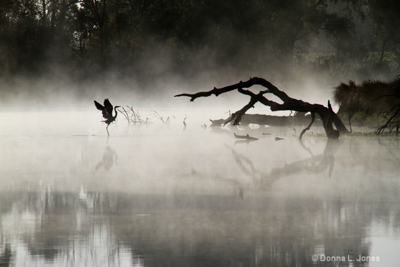 The Landing...