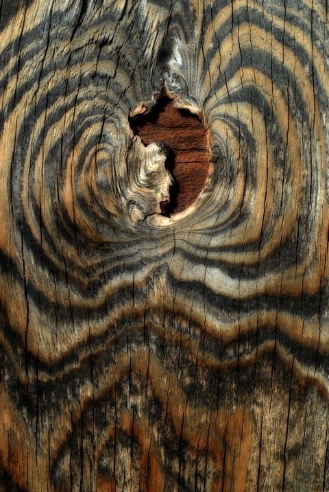 wood abstract