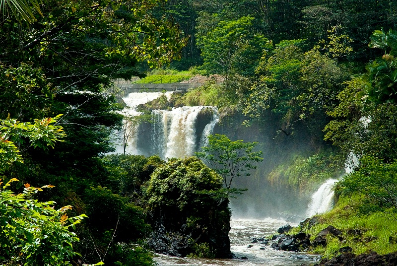 Big Island Beauty