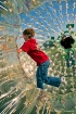 Human Hamster Bal...