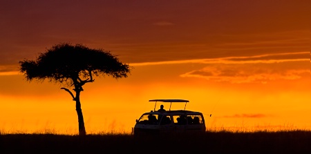 Sunset Safari 