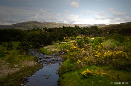 Scottish Countryside