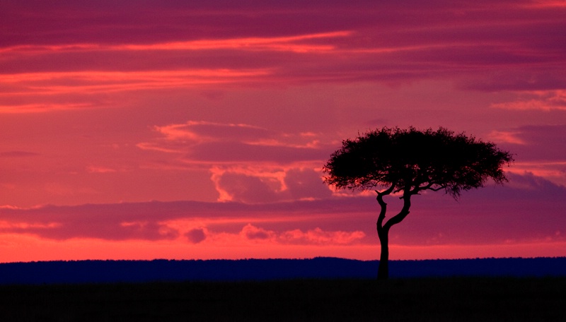 Masai Sunset