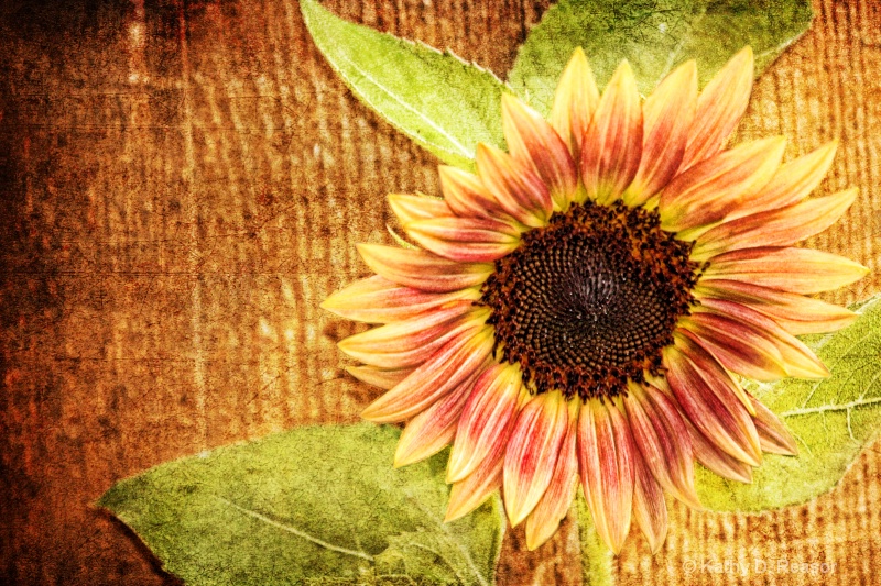 Unique Sunflower