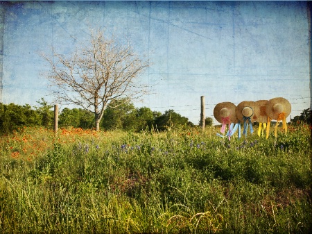 Hats On A Fence