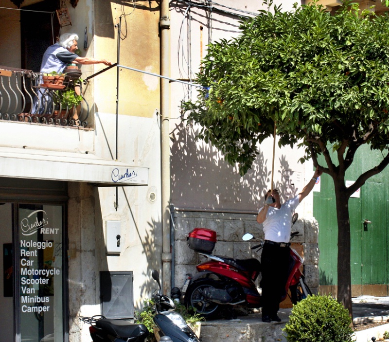 Lust for Oranges in Taormina