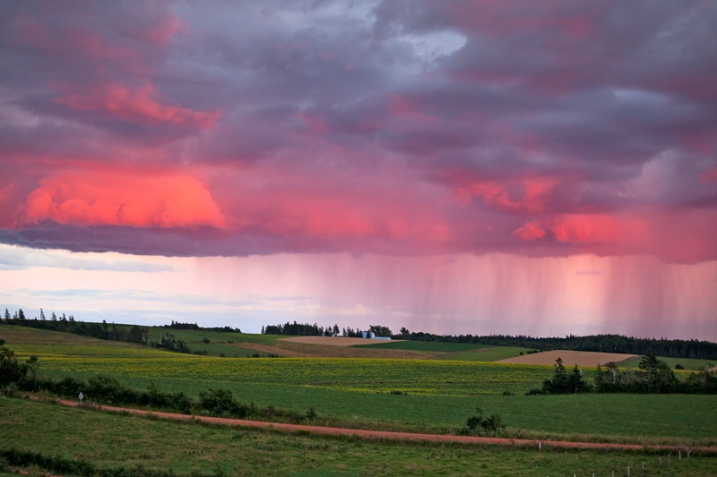 Sunset Showers