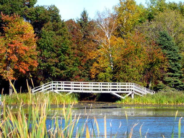 Fall Splendor