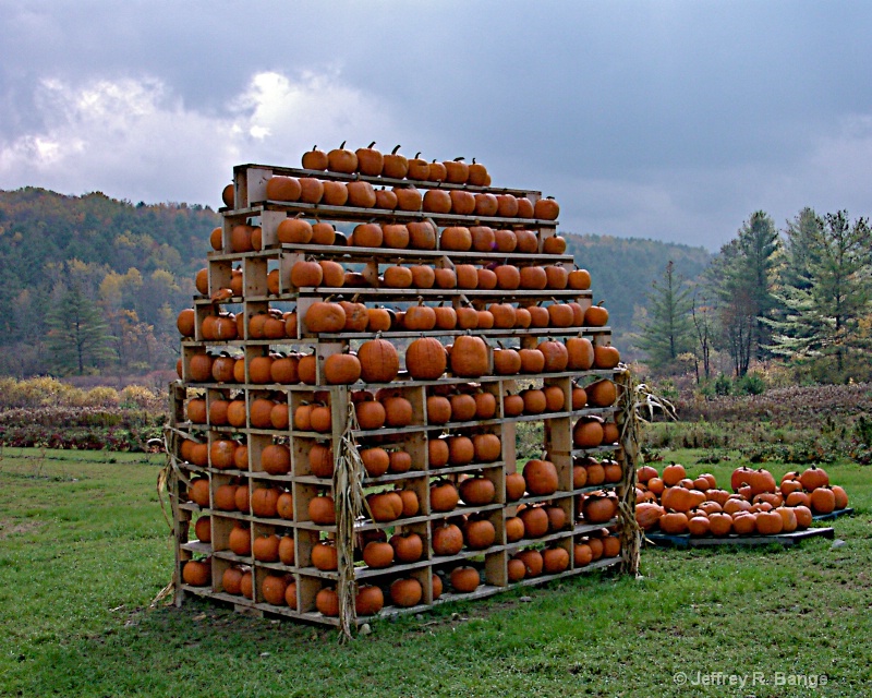 "House Of Pumpkins"