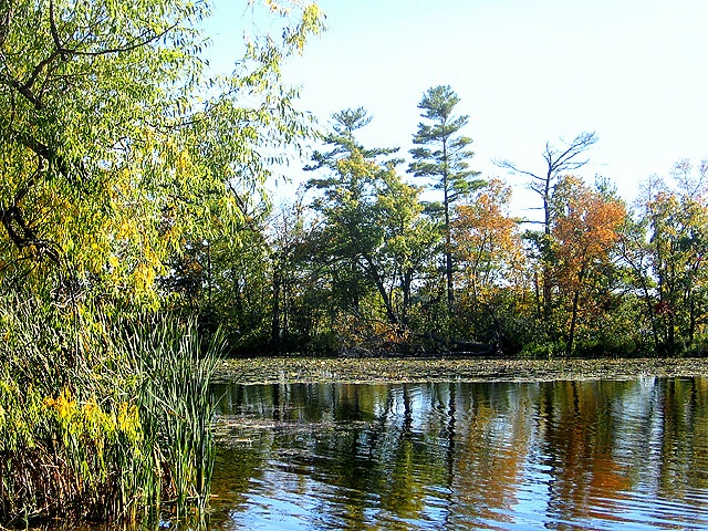 Paul's Lake Island