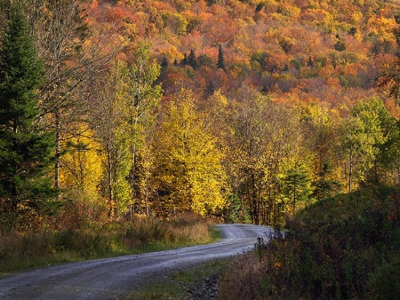 North Country Road