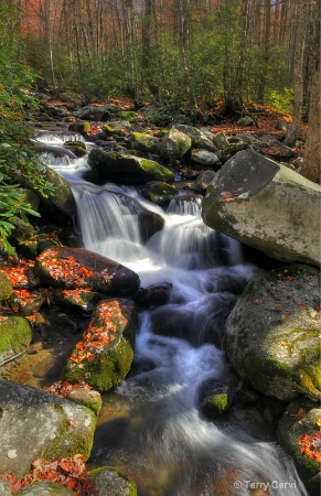 Mountain Stream