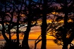 Sundown
