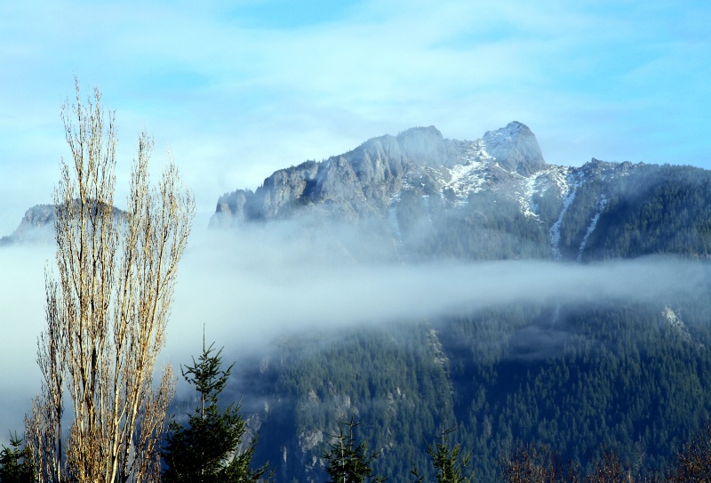 Blue Mist Mountains of Washington.