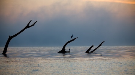 An early morning on River Kabini