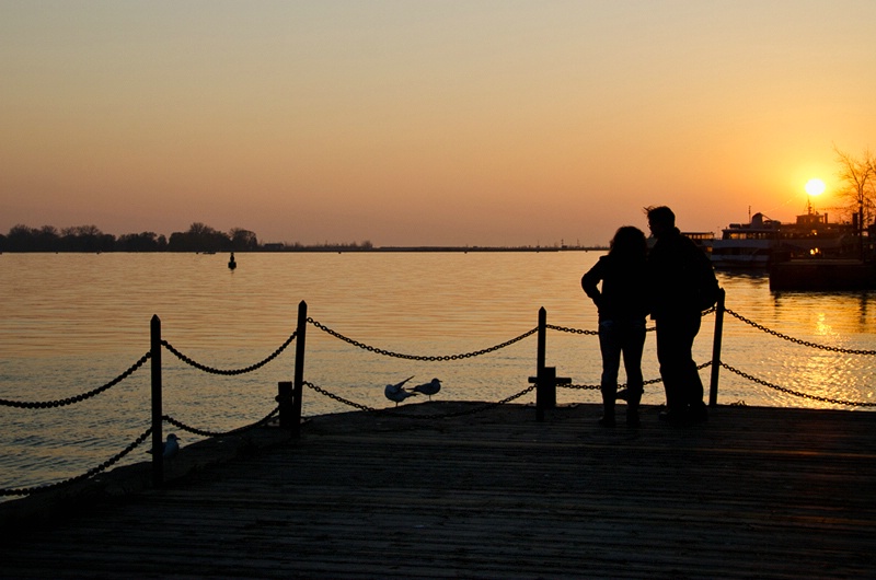 Gulls and Young Lovers at Harbourfront - ID: 12672805 © Gerda Grice
