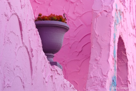 Pink Wall and Colorful Pot