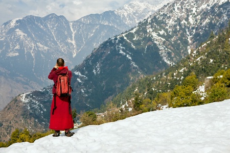 A Monk in Dharamshala