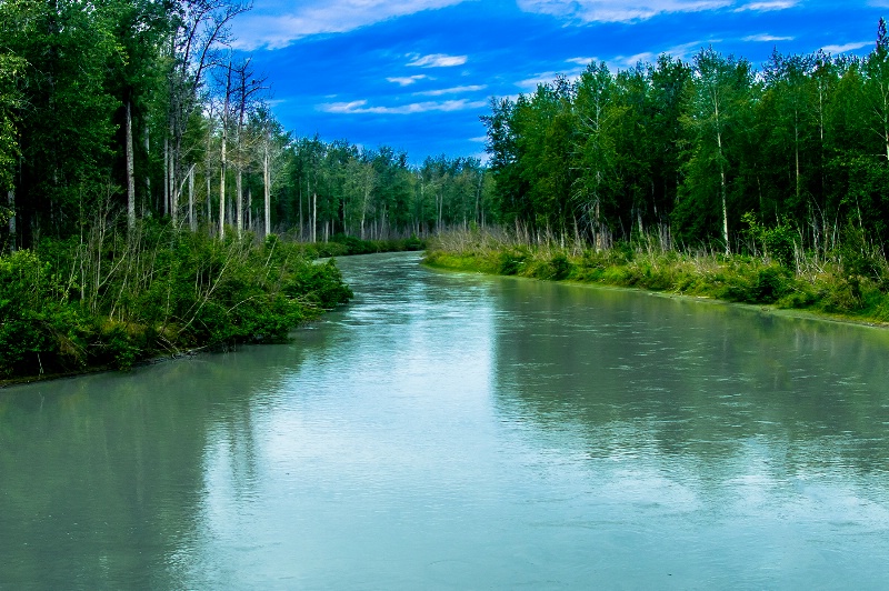 Up The Lazy River