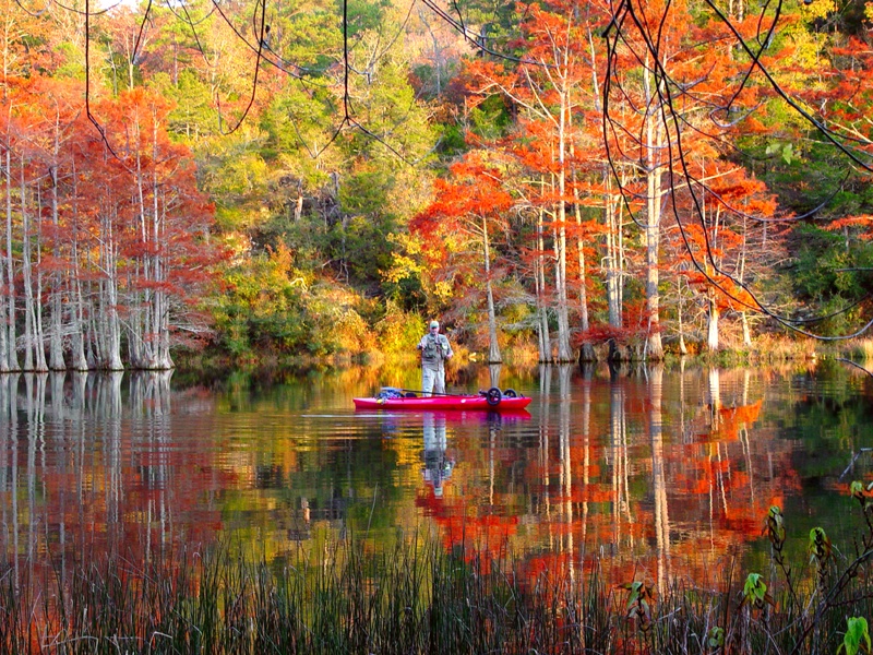 Fishing Beavers Bend