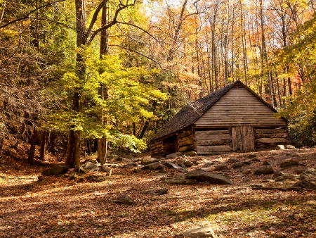 Old Cabin