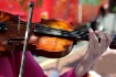 Strings