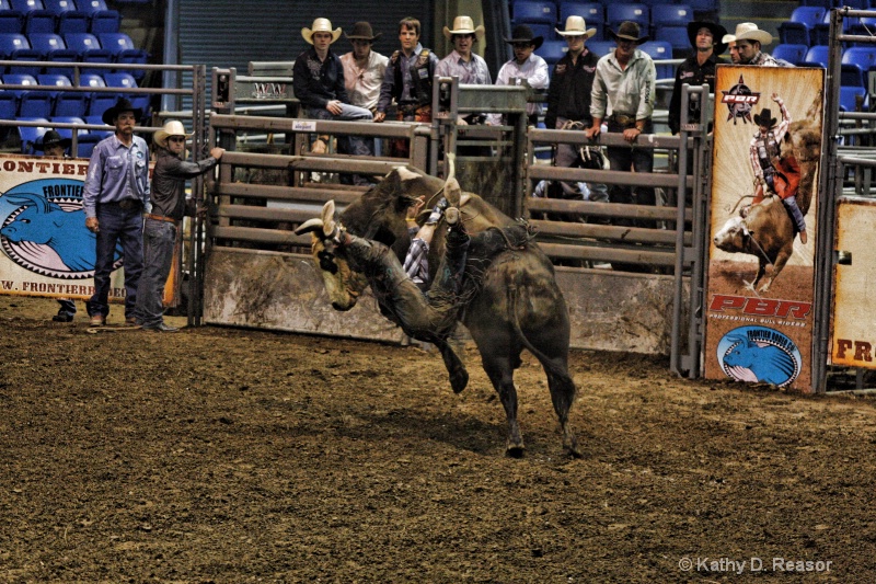 Professional Bull Riding