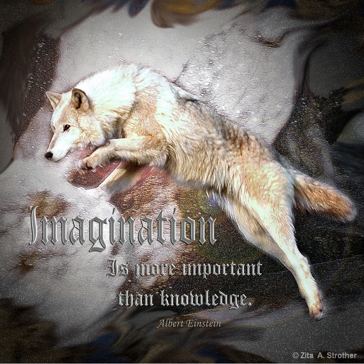 Imagination is more important than knowledge. - ID: 12859640 © Zita A. Strother