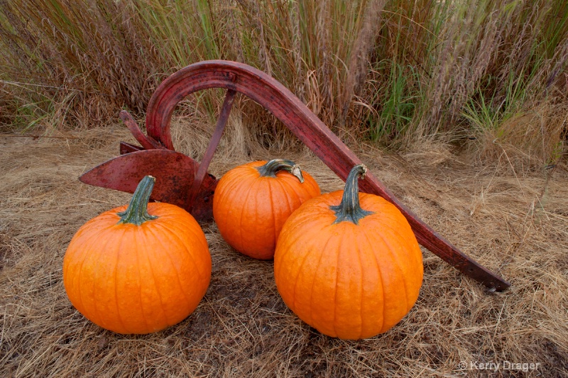 Pumpkins and Plow