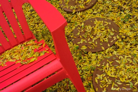 Red Chair and Fall Leaves
