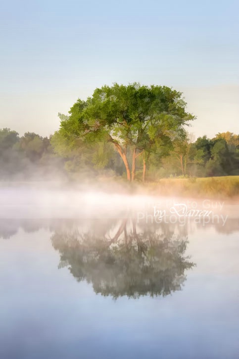 Early Morning Reflections