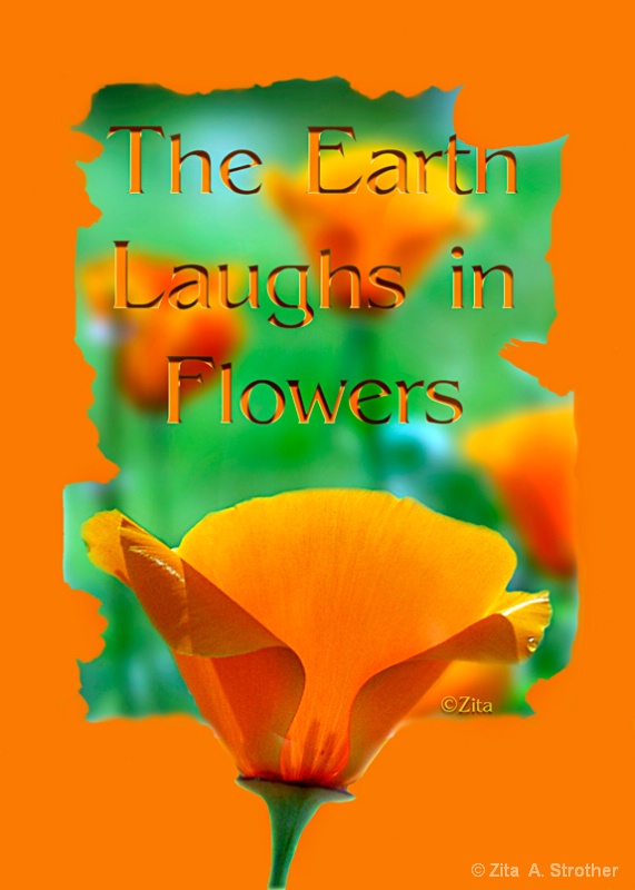 The Earth Laughs In Flowers - ID: 12986843 © Zita A. Strother