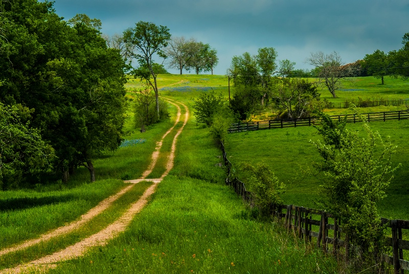 Path To The top