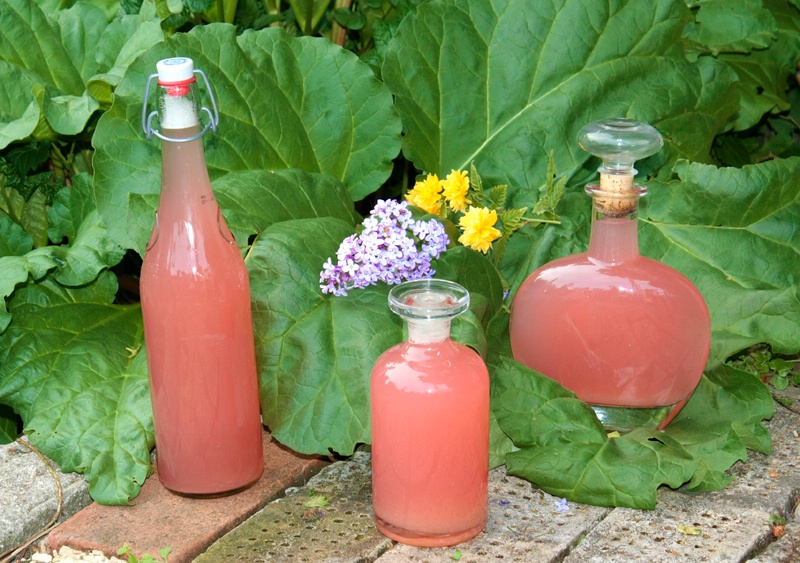 Rhubarb Juice - homemade