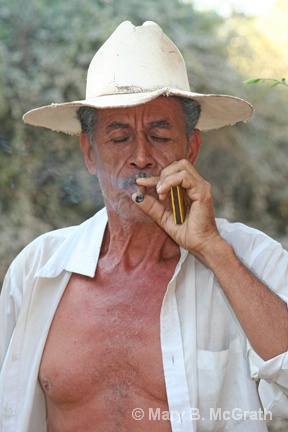 Man and His Cigar - ID: 13066839 © Mary B. McGrath