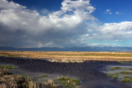 High Elevation Marsh