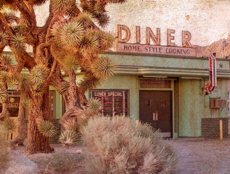 Desert Diner