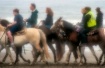 Soft Trot