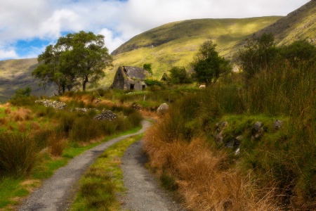 The Old Cottage Along the Road