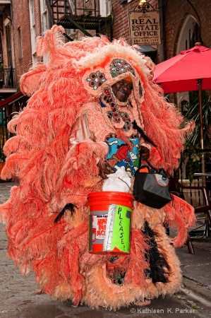 Mardi Gras Indian in Pirate's Alley New Orlean