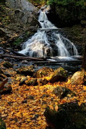 Gold at the Falls